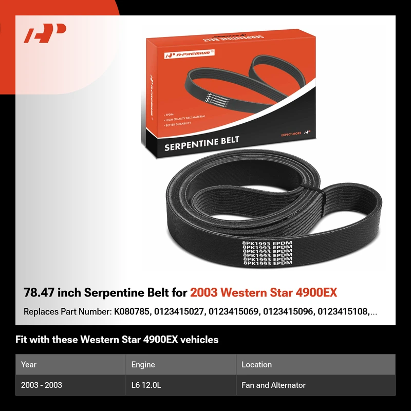 78.47 inch Serpentine Belt for 2003 Western Star 4900EX