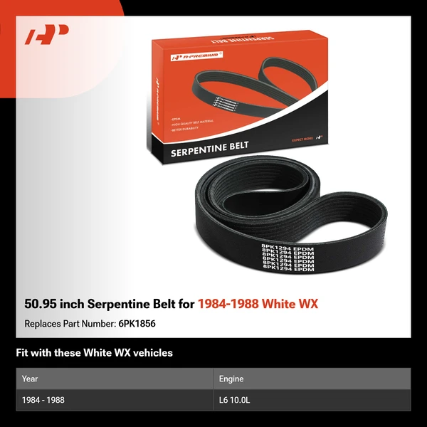 50.95 inch Serpentine Belt for 1984-1988 White WX
