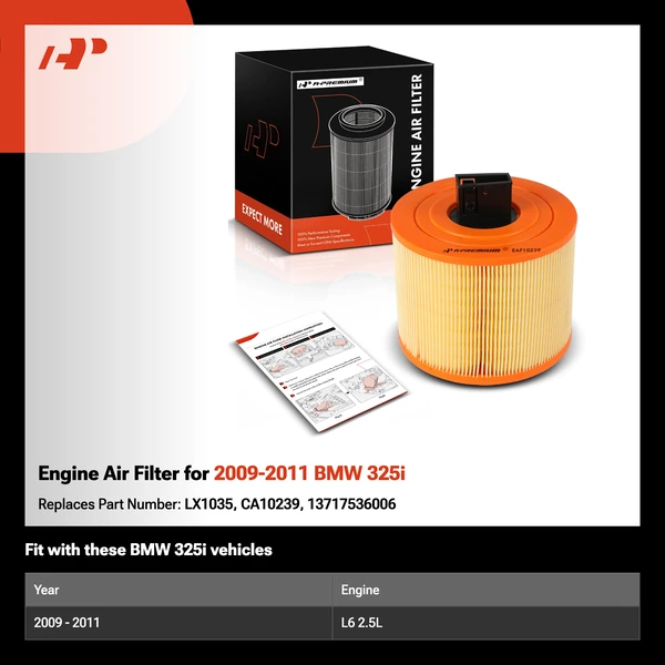 Engine Air Filter for 2009-2011 BMW 325i