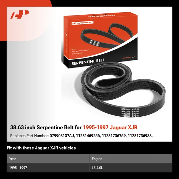 38.63 inch Serpentine Belt for 1995-1997 Jaguar XJR