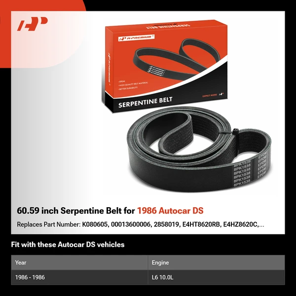 60.59 inch Serpentine Belt for 1986 Autocar DS