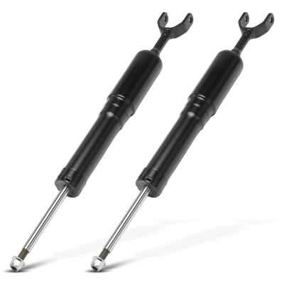 2 Pcs Front Driver & Passenger Air Suspension Struts