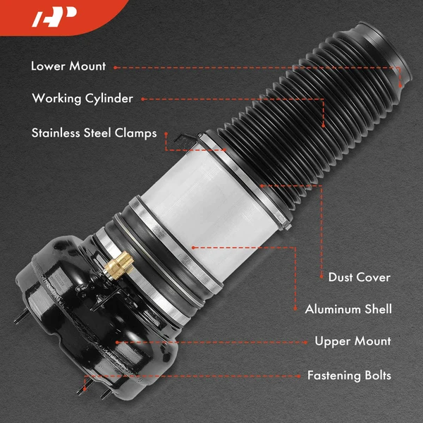 2 Pcs Rear Driver & Passenger Air Suspension Struts for Audi A8 Quattro 11-18