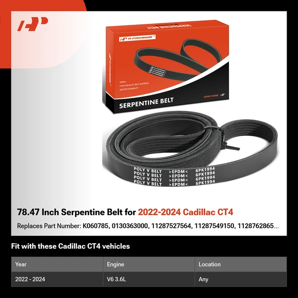 78.47 Inch Serpentine Belt for 2022-2024 Cadillac CT4