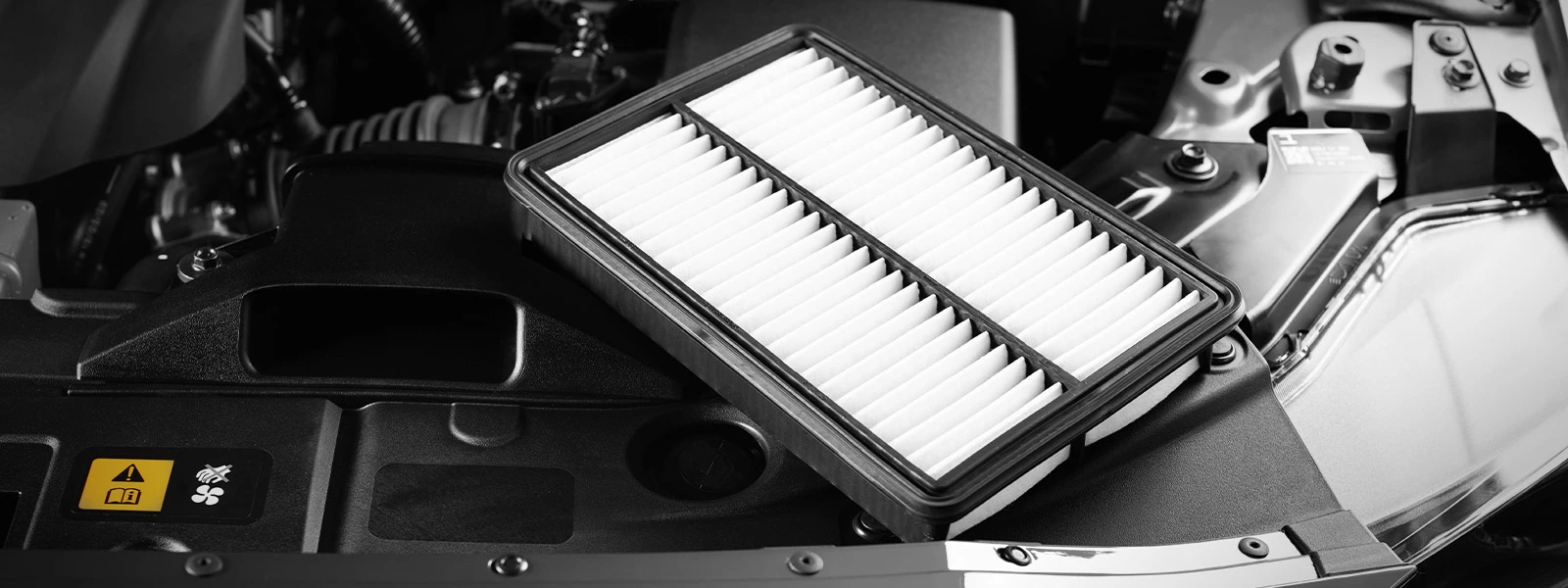 Engine Air Filter Vs Cabin Air Filter