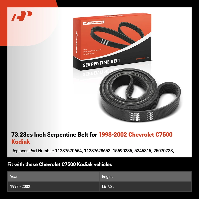 73.23es Inch Serpentine Belt for 1998-2002 Chevrolet C7500 Kodiak
