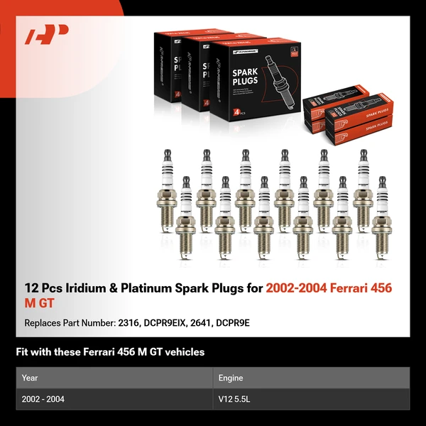 12 Pcs Iridium & Platinum Spark Plugs for 2002-2004 Ferrari 456 M GT