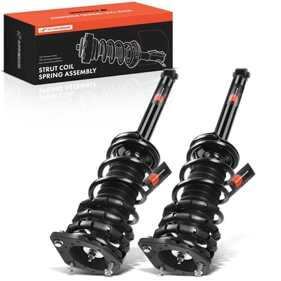 2 Pcs Rear Complete Strut & Coil Spring Assembly