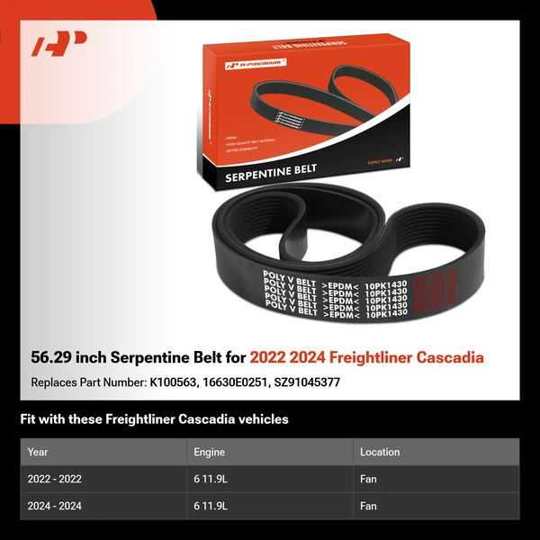 56.29 inch Serpentine Belt for 2022 2024 Freightliner Cascadia