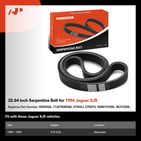 32.64 inch Serpentine Belt for 1994 Jaguar XJS