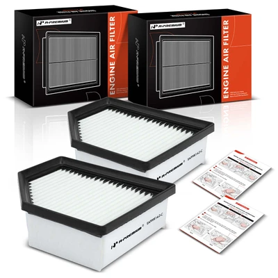 2 Pcs Engine Air Filter