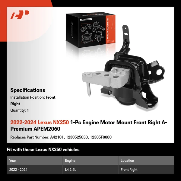 2022-2024 Lexus NX250 1-Pc Engine Motor Mount Front Right A-Premium APEM2060