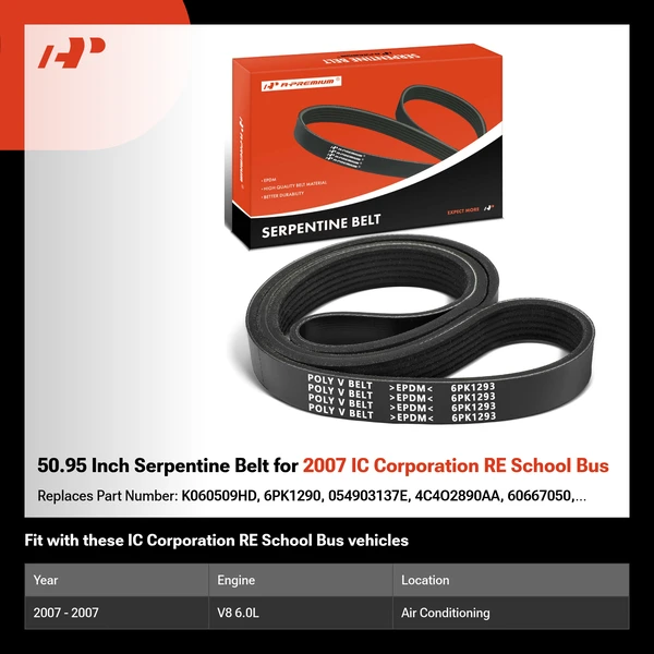 50.95 Inch Serpentine Belt for 2007 IC Corporation RE School Bus