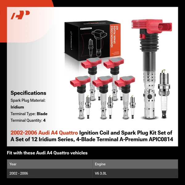 2002-2006 Audi A4 Quattro Ignition Coil and Spark Plug Kit Set of A Set of 12 Iridium Series, 4-Blade Terminal A-Premium APIC0814