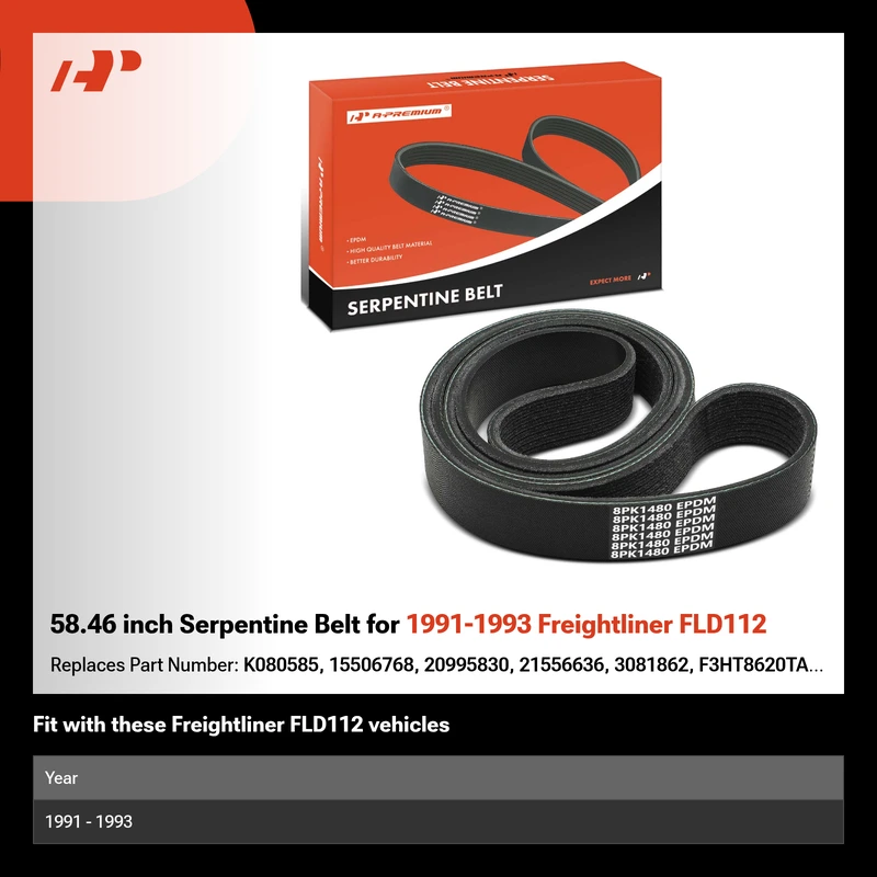 58.46 inch Serpentine Belt for 1991-1993 Freightliner FLD112