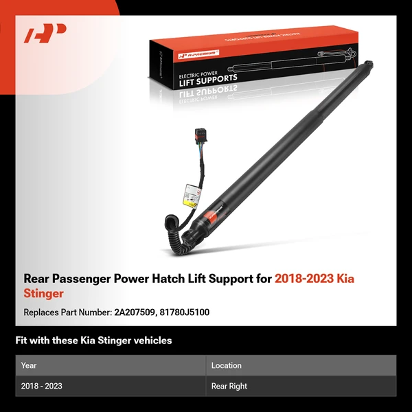 Rear Passenger Power Hatch Lift Support for 2018-2023 Kia Stinger