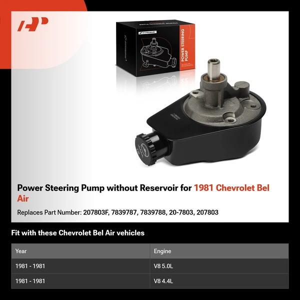 Power Steering Pump without Reservoir for 1981 Chevrolet Bel Air