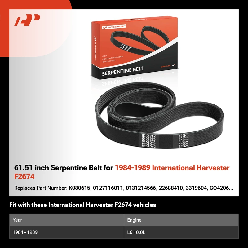 61.51 inch Serpentine Belt for 1984-1989 International Harvester F2674