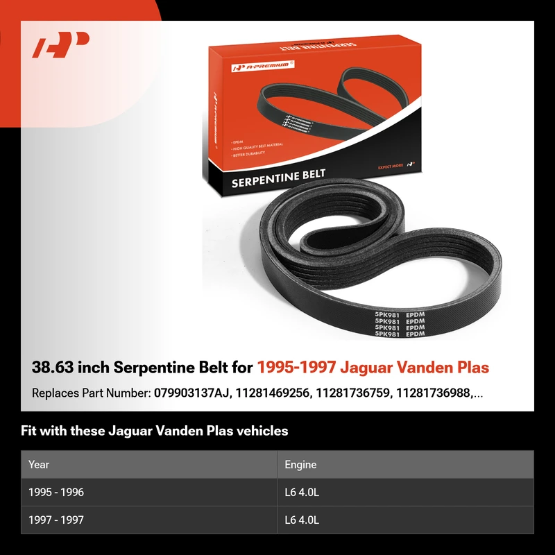 38.63 inch Serpentine Belt for 1995-1997 Jaguar Vanden Plas