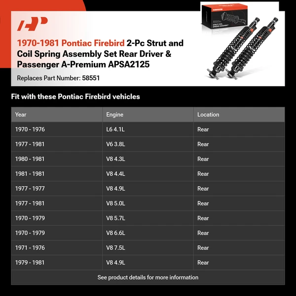 1970-1981 Pontiac Firebird 2-Pc Strut and Coil Spring Assembly Set Rear Driver & Passenger A-Premium APSA2125