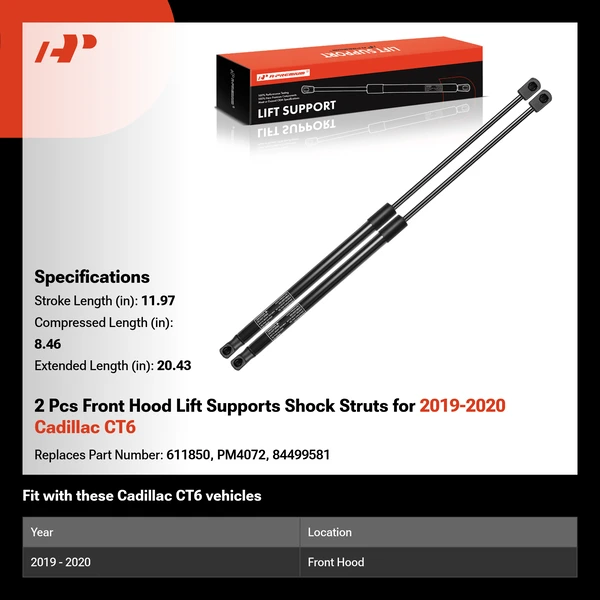 2 Pcs Front Hood Lift Supports Shock Struts for 2019-2020 Cadillac CT6