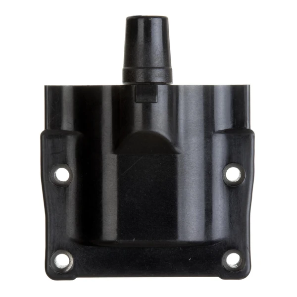 Delphi GN10287 Ignition Coil
