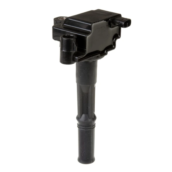 Delphi GN10299 Ignition Coil