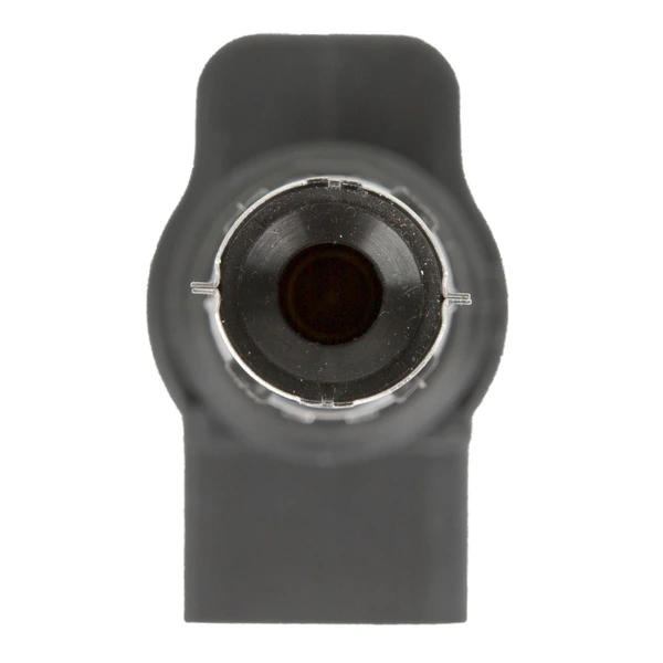 Delphi GN10345 Ignition Coil