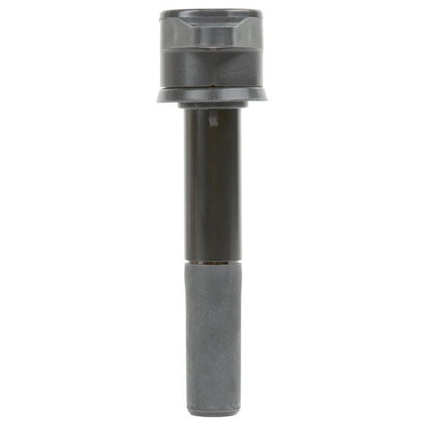 Delphi GN10358 Ignition Coil