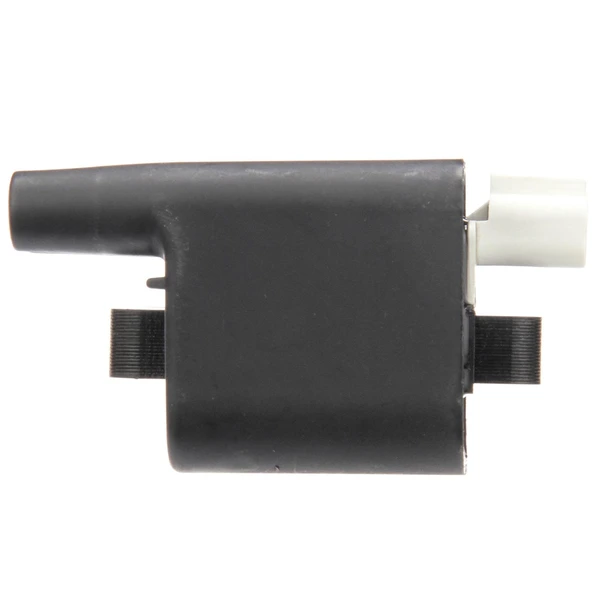 Delphi GN10397 Ignition Coil