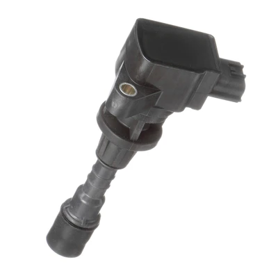 Delphi GN10400 Ignition Coil