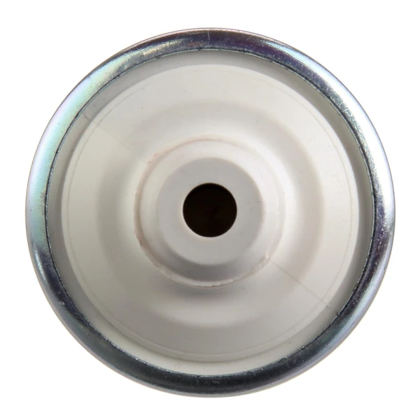 Electric Fuel Pump - In-Line - Delphi FD0029