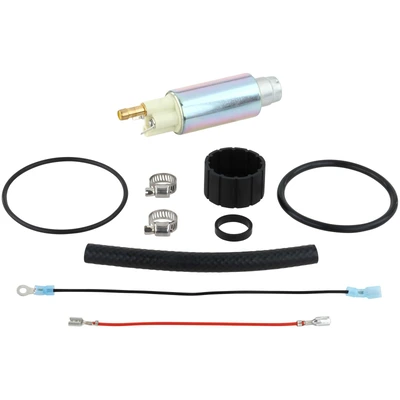 Electric Fuel Pump - In-Tank - Delphi FE0054