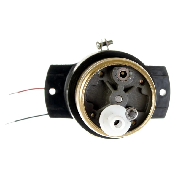 Fuel Pump and Strainer Set - Delphi FE0099