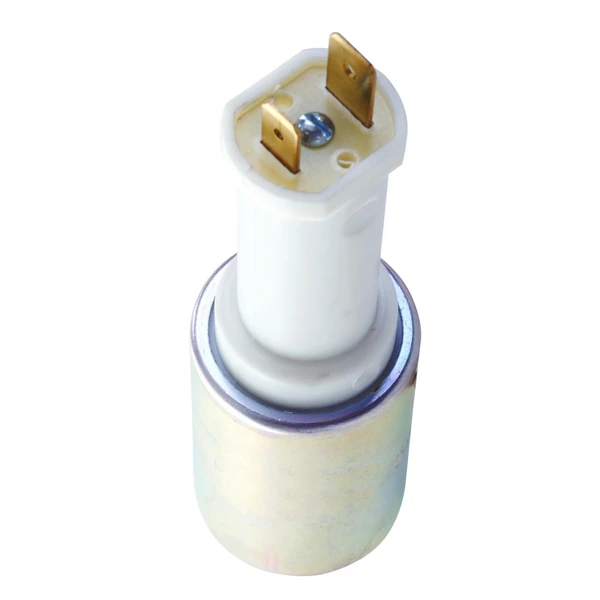 Electric Fuel Pump - In-Tank - Delphi FE0127