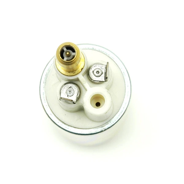 Electric Fuel Pump - In-Tank - Delphi FE0310