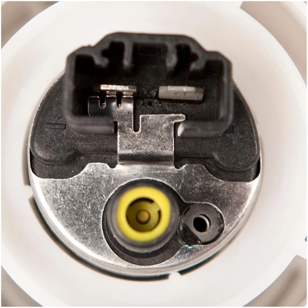 Fuel Pump and Strainer Set - Delphi FE0466