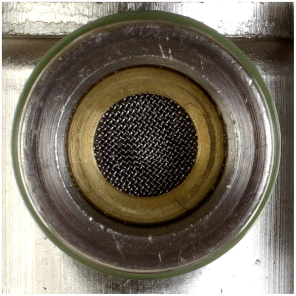 Fuel Injection Pressure Regulator - Delphi FP10259