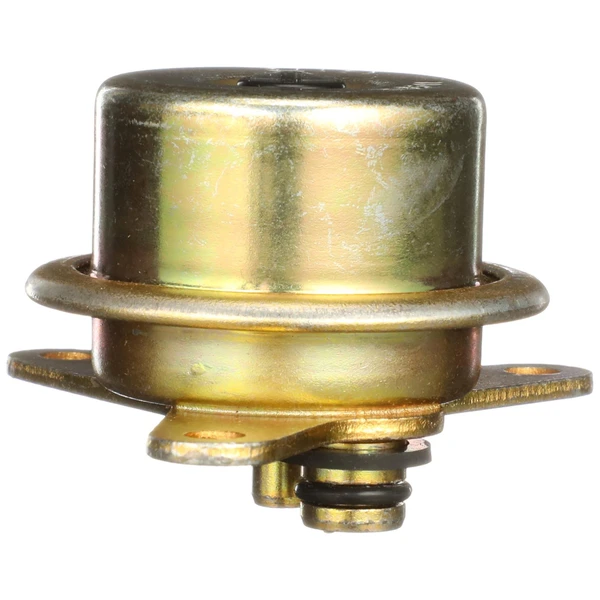 Fuel Injection Pressure Regulator - Delphi FP10391