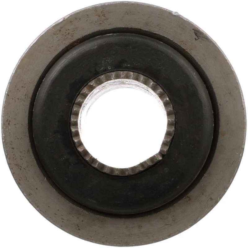 Suspension Control Arm Bushing - Delphi TD5066W