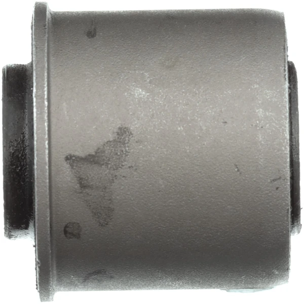 Suspension Track Bar Bushing - Delphi TD5826W