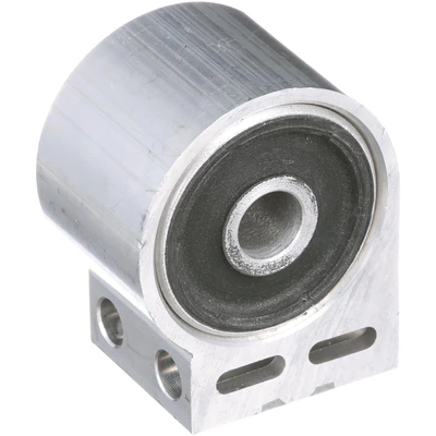 Suspension Control Arm Bushing - Delphi TD874W