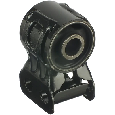 Suspension Control Arm Bushing - Delphi TD920W