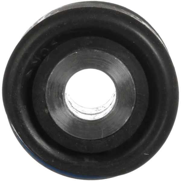 Suspension Control Arm Bushing - Rear Upper Outer - Delphi TD1824W