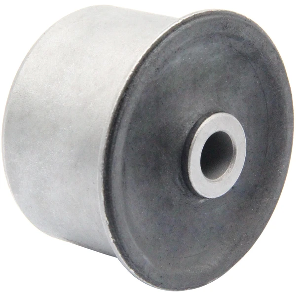 Suspension Control Arm Bushing - Rear Lower - Delphi TD1986W
