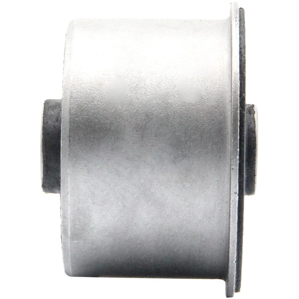 Suspension Control Arm Bushing - Rear Lower - Delphi TD1986W