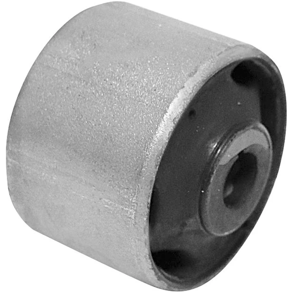 Suspension Trailing Arm Bushing - Delphi TD1983W