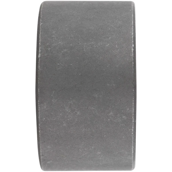 Suspension Control Arm Bushing - Front Side - Delphi TD343W