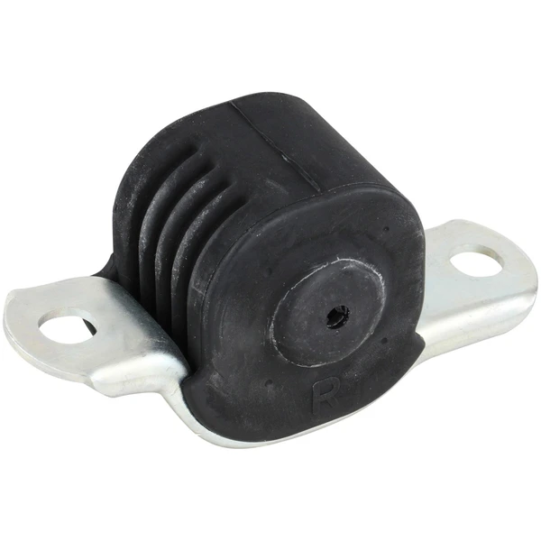 Suspension Control Arm Bushing - Front Right Lower Rearward - Delphi TD389W