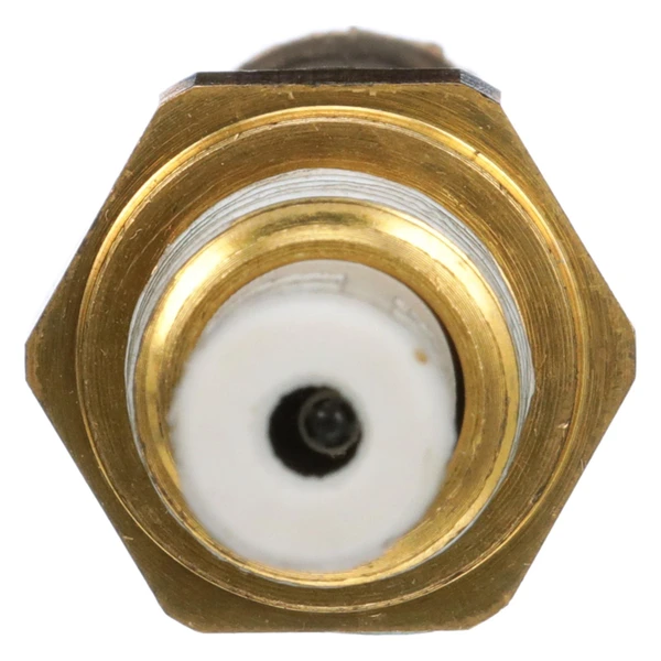 Air Charge Temperature Sensor - Delphi TS10534